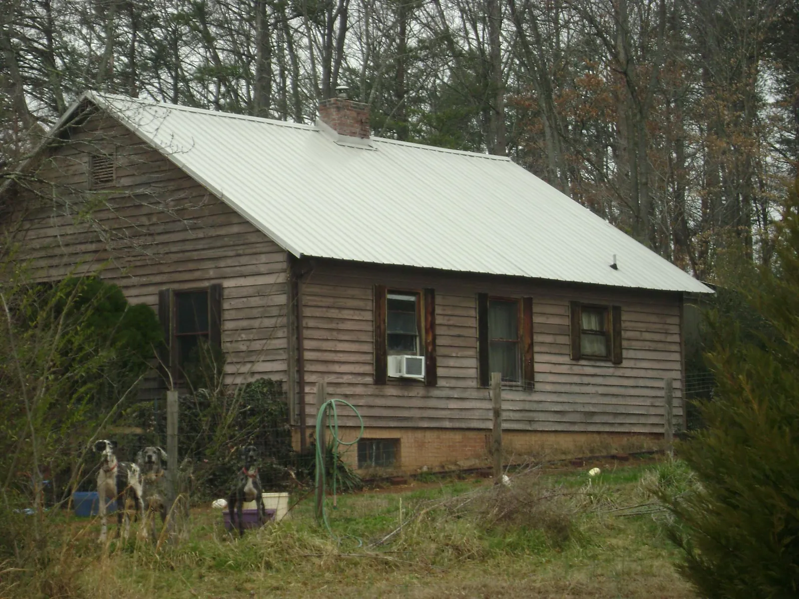White metal roof on an old wood sided farmhouse, from a Asphalt Shingle Roof Repair job in Wisdom